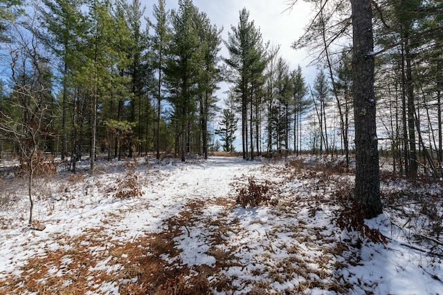 view of snowy landscape