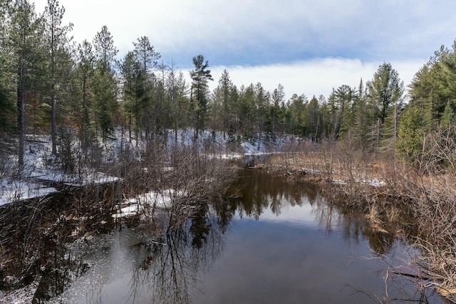 view of water feature featuring a forest view