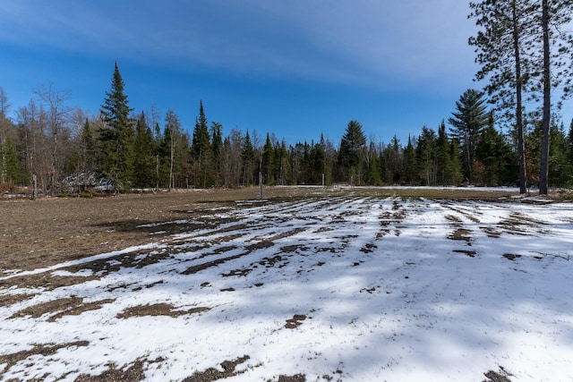 view of yard with a wooded view
