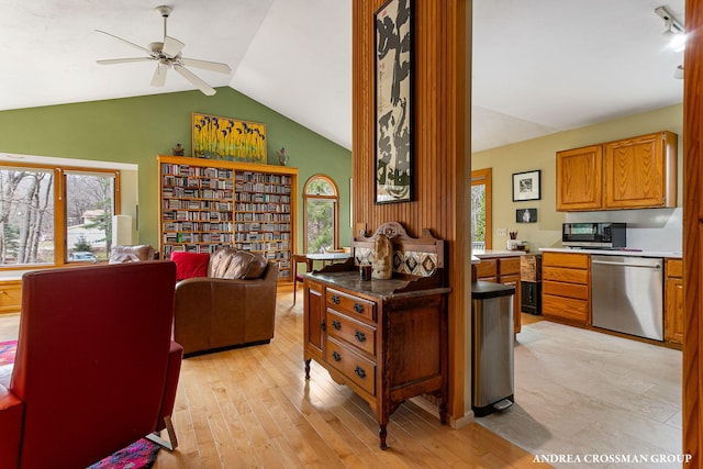 kitchen featuring lofted ceiling, a wealth of natural light, stainless steel dishwasher, and a ceiling fan
