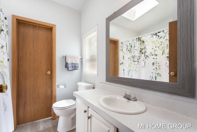 13879 49th St, Grand Junction, MI 49056 - bathroom featuring vaulted ceiling with skylight, toilet, wood finished floors, vanity, and a shower with curtain
