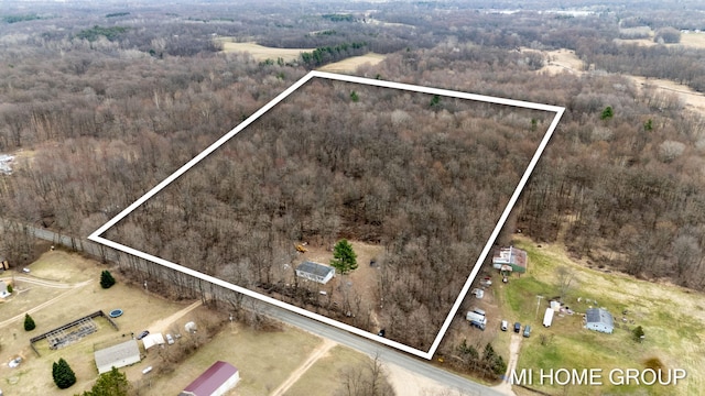 13879 49th St, Grand Junction, MI 49056 - birds eye view of property