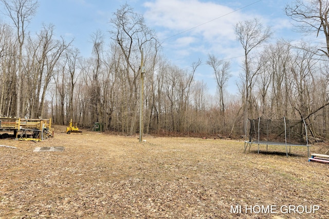 13879 49th St, Grand Junction, MI 49056 - view of yard featuring a trampoline