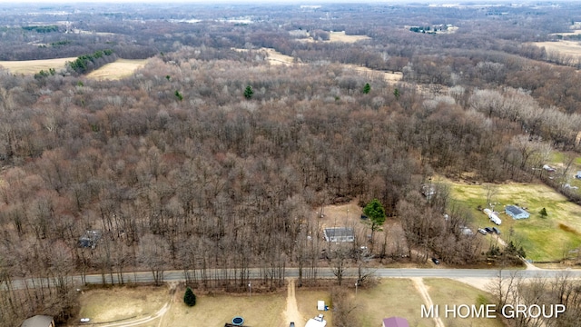 13879 49th St, Grand Junction, MI 49056 - drone / aerial view