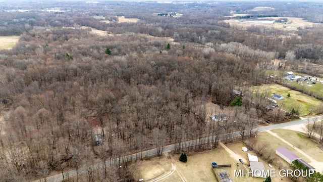 13879 49th St, Grand Junction, MI 49056 - aerial view