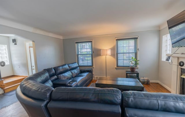living room with baseboards, a healthy amount of sunlight, and wood finished floors