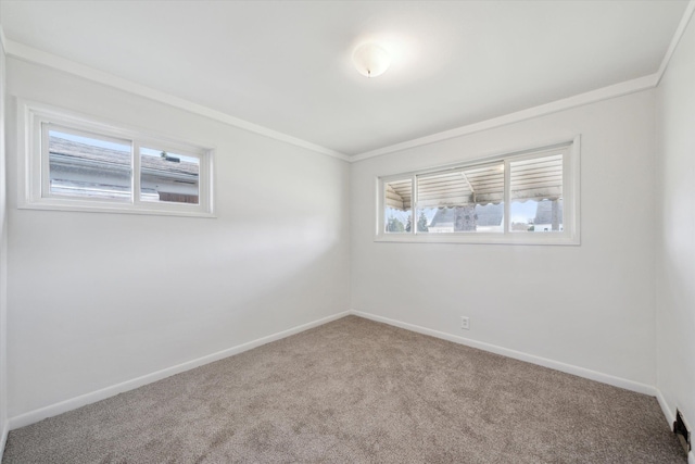spare room with baseboards, crown molding, and carpet floors