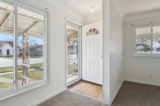 foyer with plenty of natural light, baseboards, and carpet floors