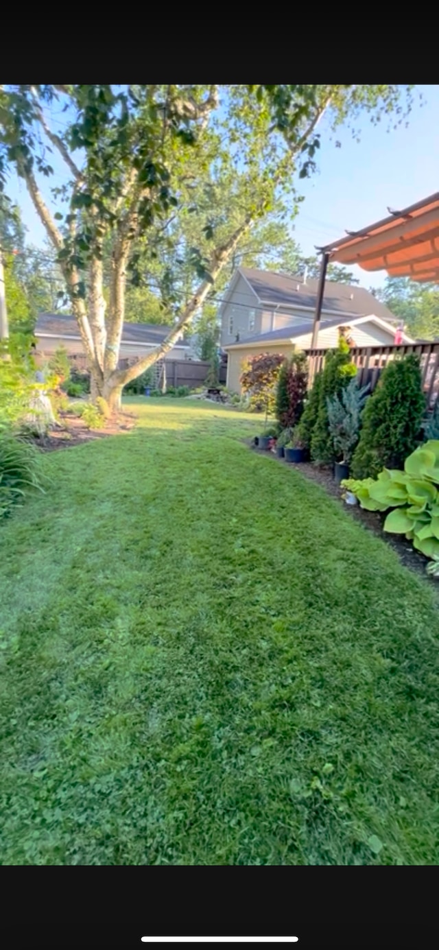 view of yard