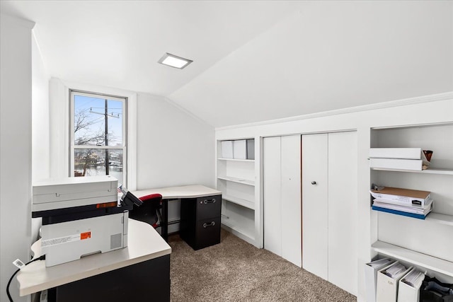 423 Heights Rd, Lake Orion, MI 48362 - office with dark carpet, lofted ceiling, and a baseboard heating unit