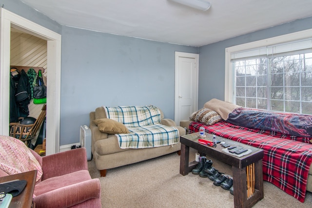 living room featuring carpet