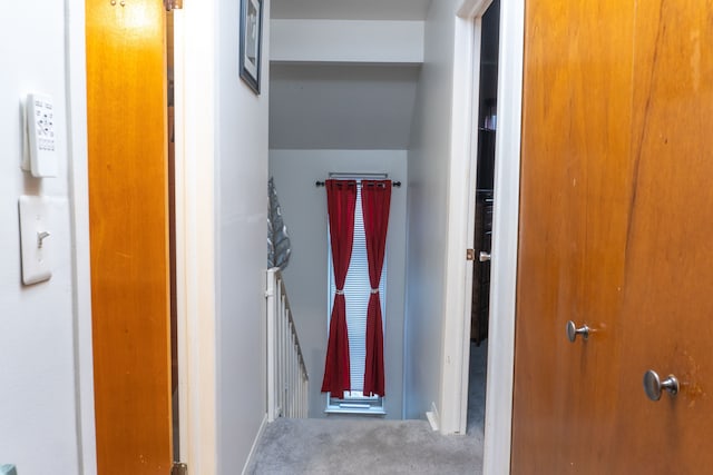 hallway featuring carpet flooring