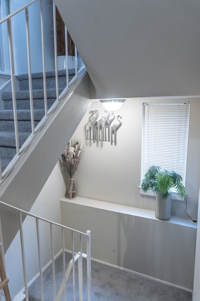 stairway with carpet floors