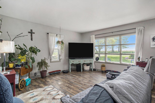 771 Q Dr S, Fulton, MI 49052 - living room featuring wood finished floors and baseboards
