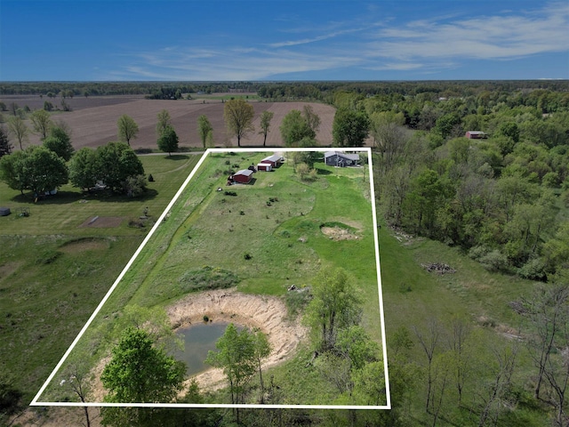 771 Q Dr S, Fulton, MI 49052 - view of rural area with property boundaries highlighted and a nearby body of water