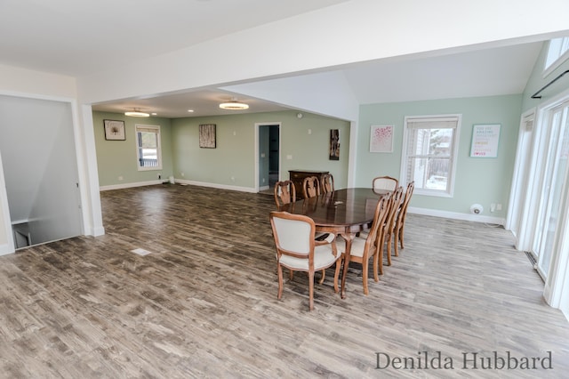11724 N Satterlee Rd, Lakeview, MI 48850 - dining room with wood finished floors, baseboards, and lofted ceiling