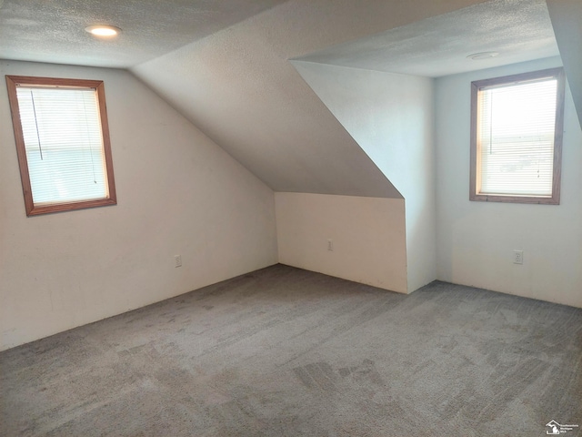 3023 W Stein Rd, La Salle, MI 48145 - bonus room with a wealth of natural light, carpet, lofted ceiling, and a textured ceiling