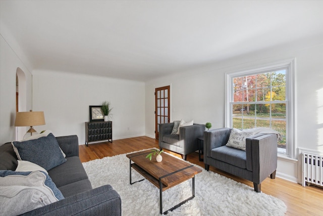 21124 Thorofare Rd, Grosse Ile, MI 48138 - living area with baseboards, wood finished floors, and radiator