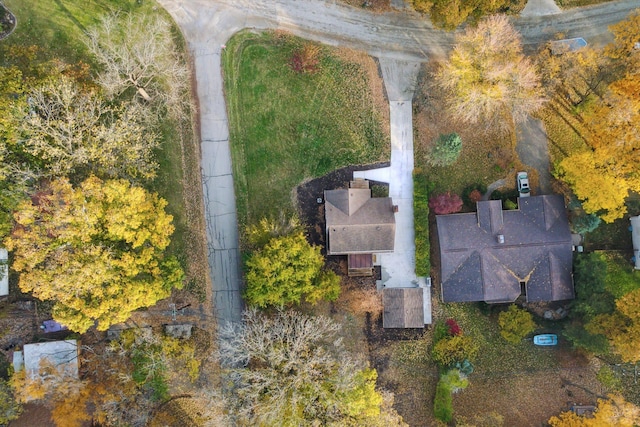 21124 Thorofare Rd, Grosse Ile, MI 48138 - birds eye view of property