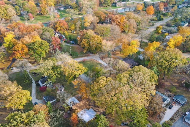 21124 Thorofare Rd, Grosse Ile, MI 48138 - birds eye view of property