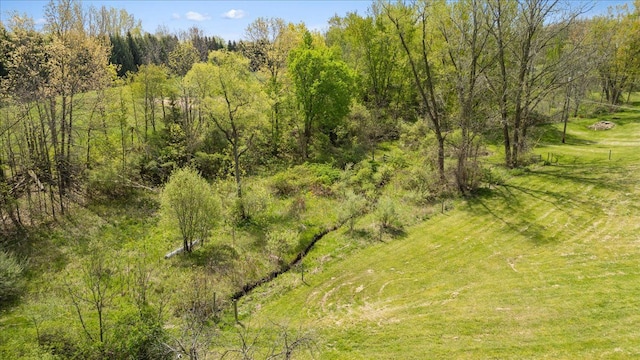 3440 Crandall Rd, Howell, MI 48855 - view of undeveloped land