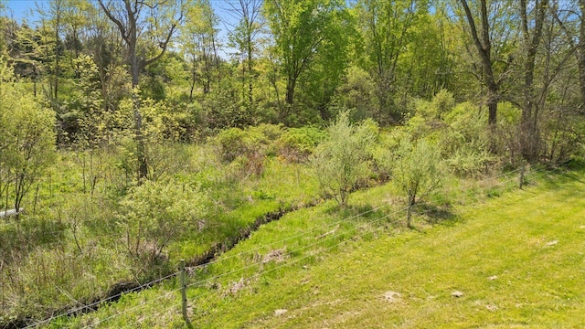 3440 Crandall Rd, Howell, MI 48855 - view of woods