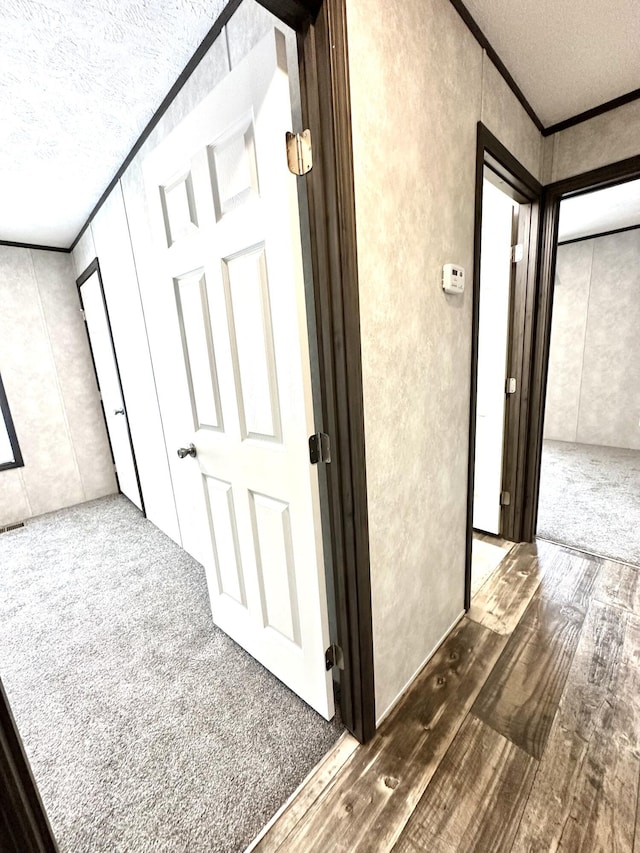 3502 Beech Ln, Twin Lake, MI 49457 - hall featuring a textured ceiling, ornamental molding, and carpet flooring