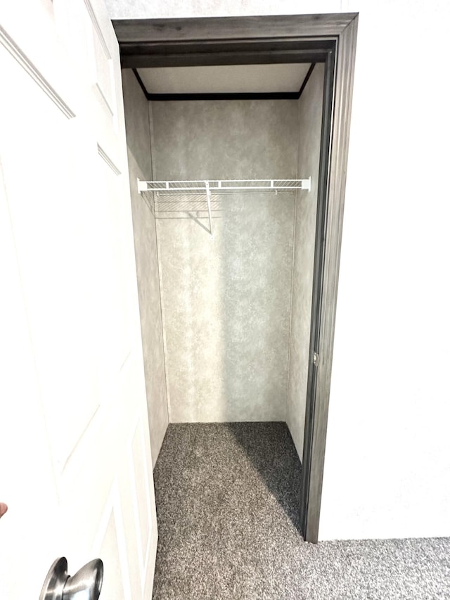 3502 Beech Ln, Twin Lake, MI 49457 - view of closet
