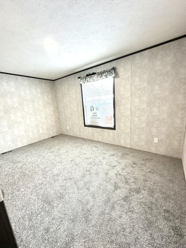 3502 Beech Ln, Twin Lake, MI 49457 - carpeted spare room featuring a textured ceiling