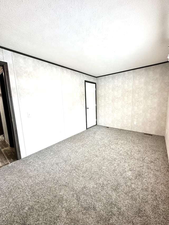 3502 Beech Ln, Twin Lake, MI 49457 - unfurnished room with carpet flooring and a textured ceiling