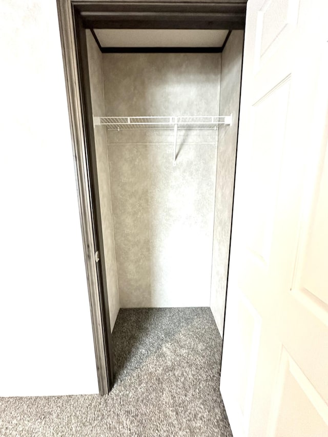 3502 Beech Ln, Twin Lake, MI 49457 - view of closet