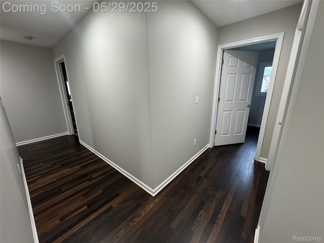 56098 Walker Ct, Macomb, MI 48042 - hall with dark wood-style floors and baseboards