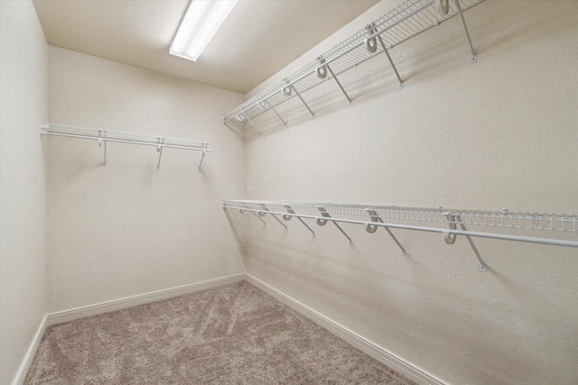 walk in closet featuring carpet floors