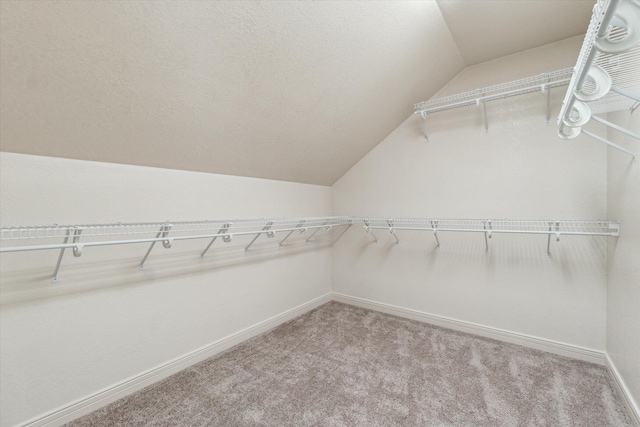 walk in closet with carpet floors and vaulted ceiling