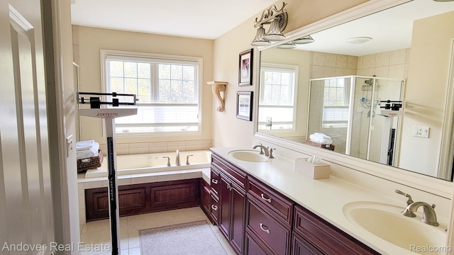 2004 Timberview Dr, Okemos, MI 48864 - full bathroom featuring healthy amount of natural light, a stall shower, a bath, and double vanity