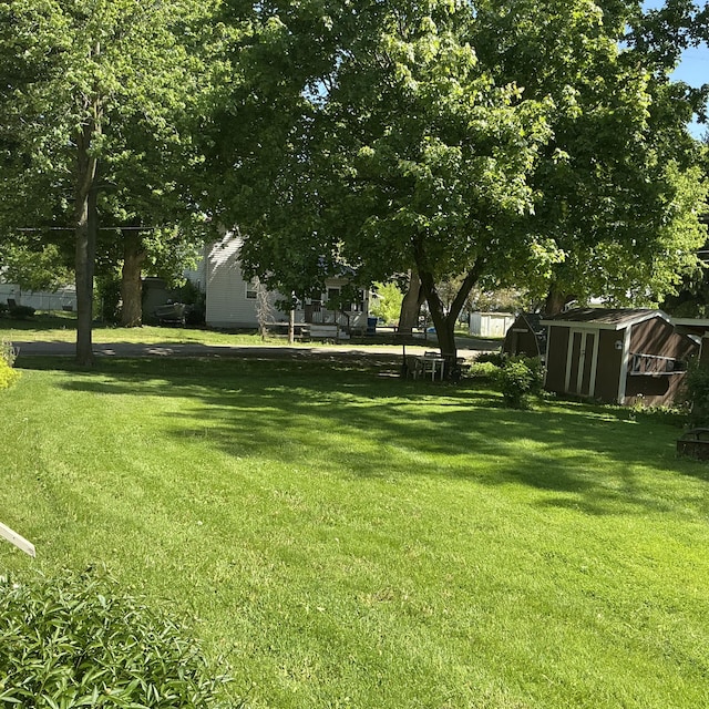 121 W State St, Reading, MI 49274 - view of grassy yard featuring a storage shed and an outdoor structure