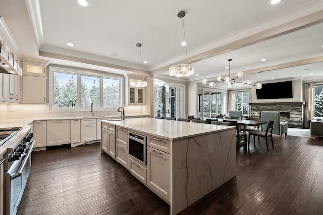 1044 Lakeside Dr, Birmingham, MI 48009 - kitchen featuring stainless steel appliances, plenty of natural light, dark wood-style flooring, and a lit fireplace