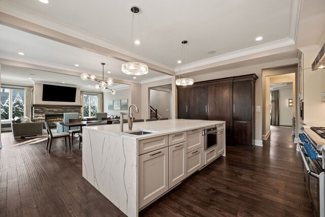 1044 Lakeside Dr, Birmingham, MI 48009 - kitchen with a fireplace, an island with sink, dark wood-style floors, range with two ovens, and a sink