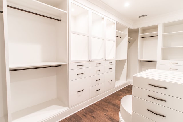 1044 Lakeside Dr, Birmingham, MI 48009 - spacious closet featuring dark wood finished floors
