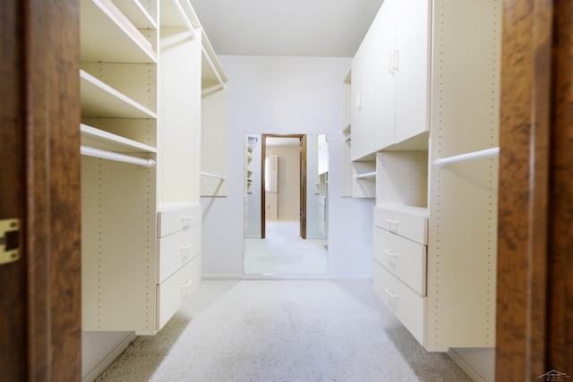 spacious closet with light colored carpet