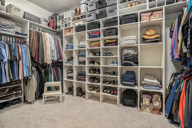 spacious closet with carpet