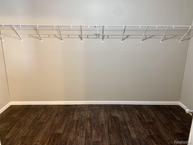 33123 Aspen Ct, New Haven, MI 48048 - spacious closet with dark wood-style floors