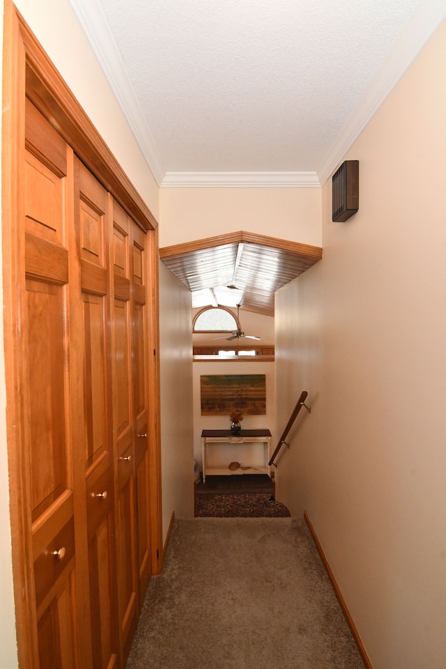 4331 N Burr Oak Rd, Lincoln, MI 48742 - corridor with carpet floors, ornamental molding, and baseboards