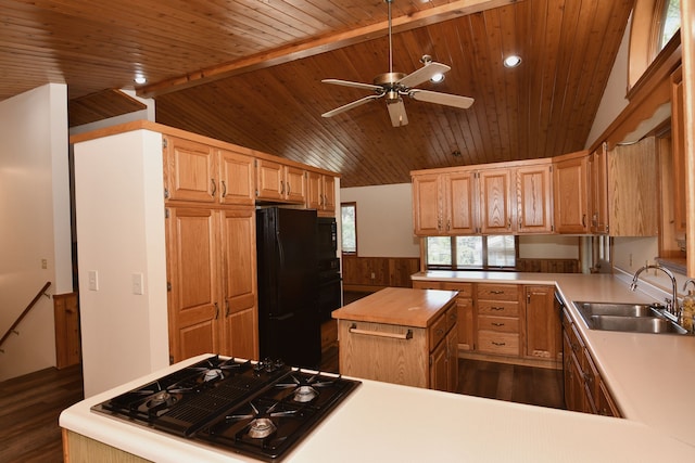 4331 N Burr Oak Rd, Lincoln, MI 48742 - kitchen featuring a sink, black appliances, wood ceiling, a ceiling fan, and wainscoting