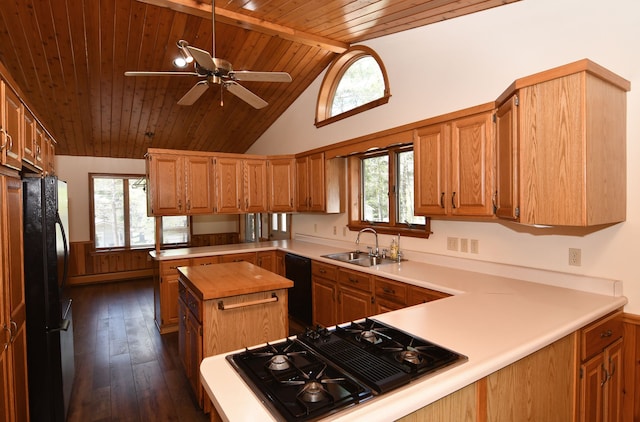 4331 N Burr Oak Rd, Lincoln, MI 48742 - kitchen with black appliances, a sink, wooden ceiling, a peninsula, and dark wood-type flooring