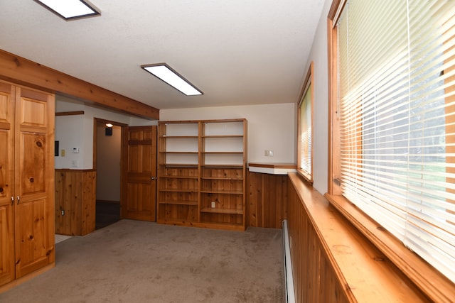 4331 N Burr Oak Rd, Lincoln, MI 48742 - additional living space featuring a wainscoted wall, wooden walls, carpet flooring, and a baseboard radiator