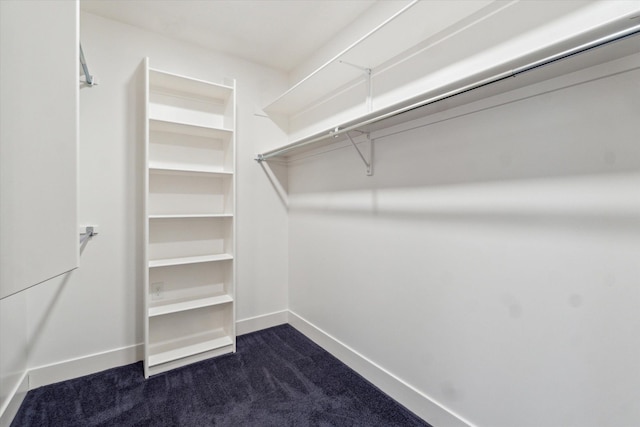 4050 Cayman Dr, Dewitt, MI 48820 - spacious closet featuring dark colored carpet