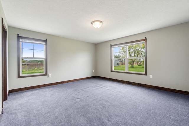 4050 Cayman Dr, Dewitt, MI 48820 - carpeted empty room with plenty of natural light and baseboards