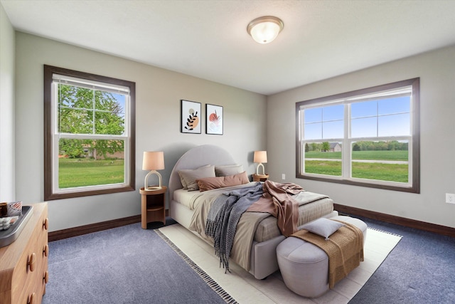 4050 Cayman Dr, Dewitt, MI 48820 - bedroom featuring light carpet, multiple windows, and baseboards