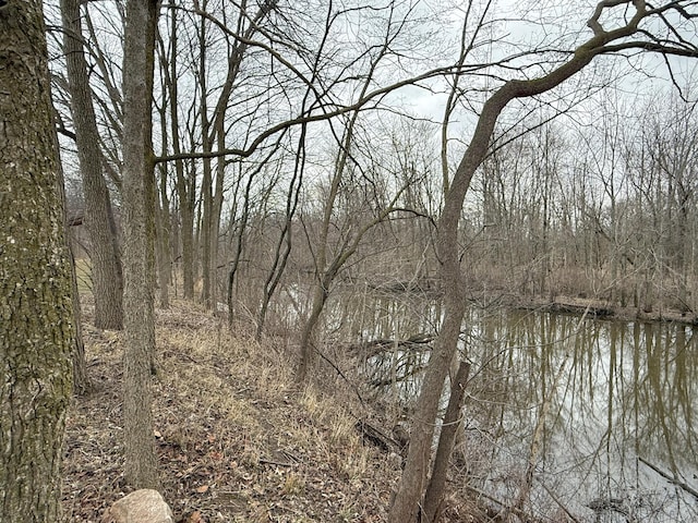 view of landscape